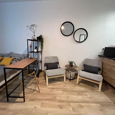 Studio Cosy Rez-De-Chaussee Foix Bagian luar foto